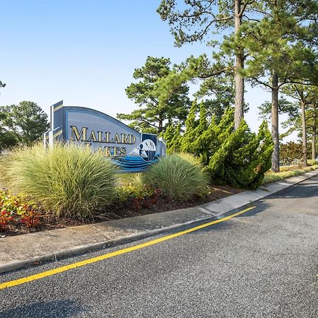 Mallard Lakes --- 37781 Heron Ln. #434 Selbyville Buitenkant foto